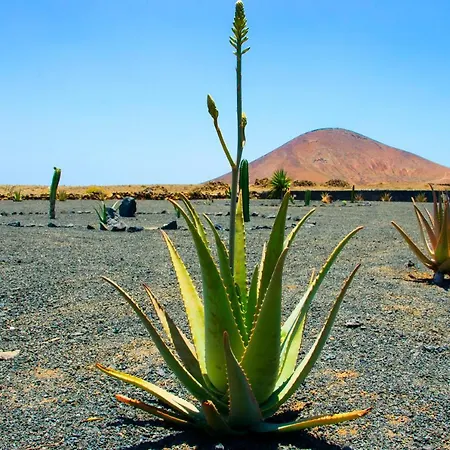 Nyaraló Casa Rural En Finca Con Wifi Y Estupenda Vista A Volcan